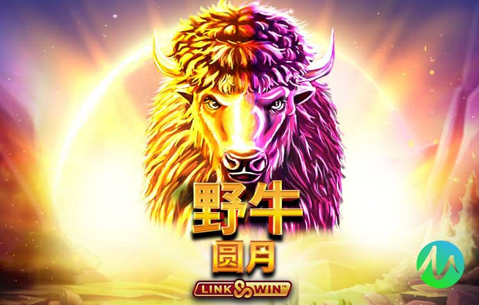 m6手机网页版登录app